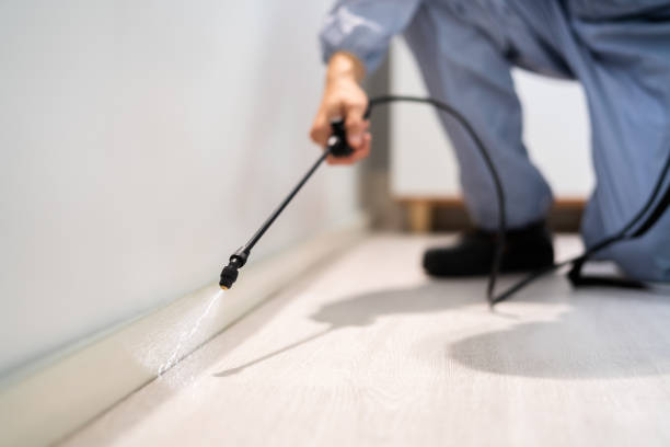 Licensed Mosquito Control service in Sterling, VA - Show Me Pest Control