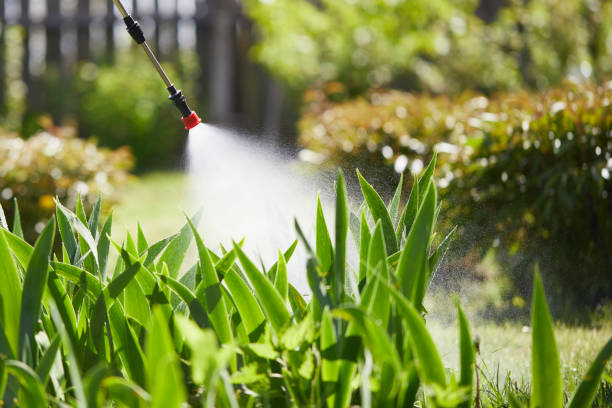 24/7 Emergency Mosquito Control experts in Sterling, VA